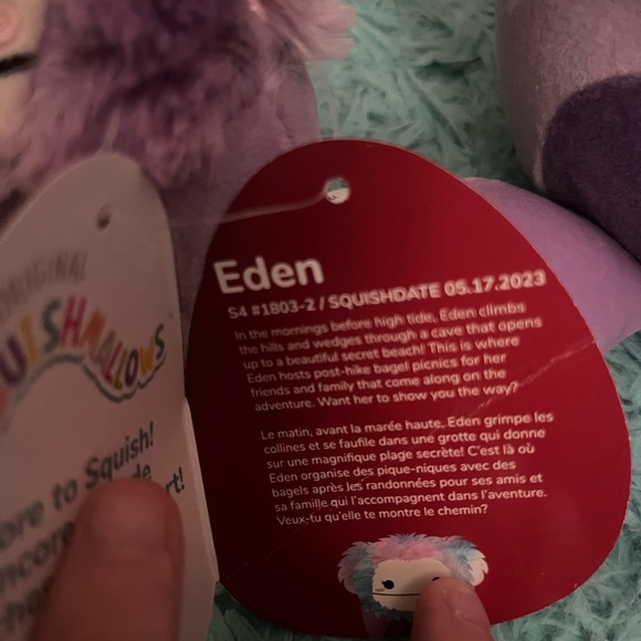 613qtXPJsTL._AC_UF350,  💛BNWT Squishmallow Eden Valentine Bigfoot Bundle